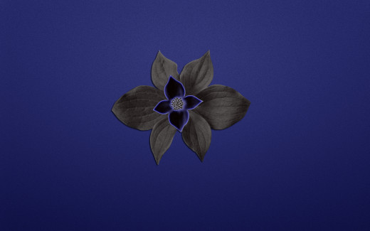 687382 (a): :1920x1200